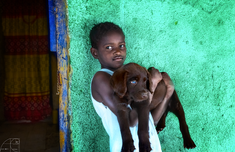 Bambino-con-il-cane-Senegal.png